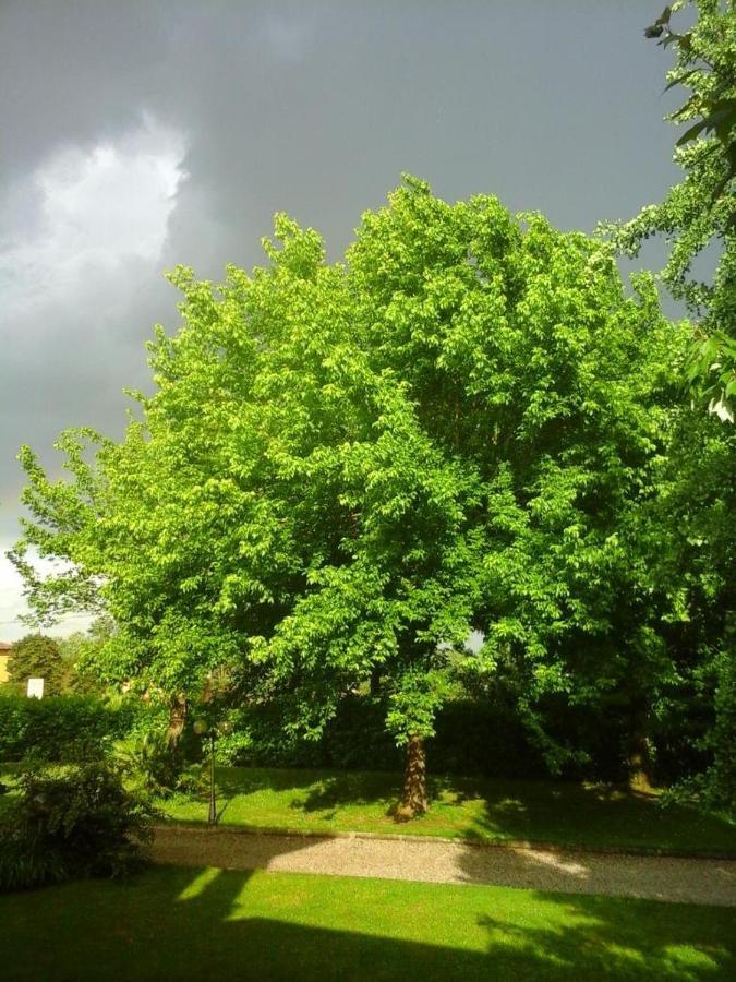 B&B Mo Va La Будріо Екстер'єр фото